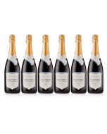 Nyetimber Classic Cuveé English Sparkling Wine Case 6x75cl
