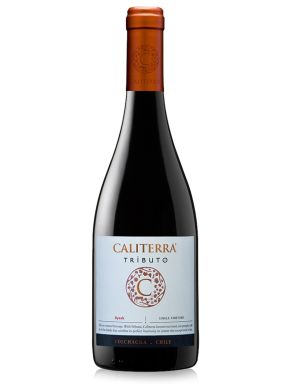 Caliterra Tributo Single Vineyard Syrah Red Wine 75cl