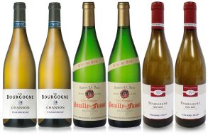 Best of Burgundy - Mixed Wine Case 6 x 75cl