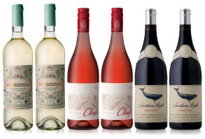 Cape of Africa - Mixed Wine Case 6 x 75cl