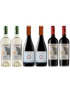 Caliterra Mixed Wine Case Deal 6 x 75cl