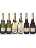 Nicolo NV Champagne Collection Case Deal 6x75cl