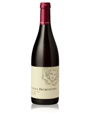 Louis Jadot Coteaux Bourguignons 2020 Gamay Pinot Noir 75cl