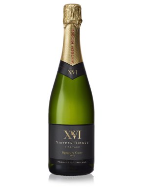 Sixteen Ridges Signature Cuvée Sparkling Wine 2017 England 75cl